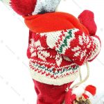 عروسک بابانوئل و چوب اسکی