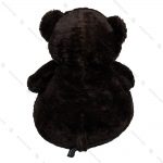 عروسک خرس نشسته سبددار کوچک