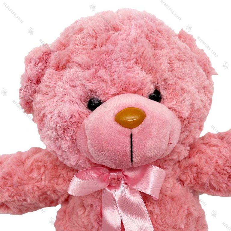 عروسک پولیشی خرس راس صورتی