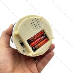 گوی برفی فول طرح پاندا