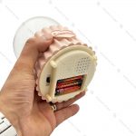 گوی برفی فول طرح فرشته