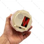 گوی برفی فول طرح خرس تاج به سر