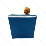 مجسمه معلم کنار تخته